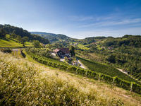 Mit freundlicher Genehmigung der Tourist-Info Sasbachwalden &copy;Steffen Egly