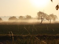 Tiefenbronn (Bildnachweis: Mit freundlicher Genehmigung des Bürgermeisteramtes Tiefenbronn) Tiefenbronn (Bildnachweis: Mit freundlicher Genehmigung des Bürgermeisteramtes Tiefenbronn)