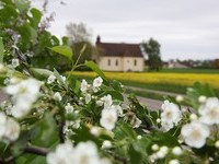 Mit freundlicher Genehmigung der Stadt Neuenburg am Rhein (Bildnachweis: Mit freundlicher Genehmigung der Stadt Neuenburg am Rhein) Mit freundlicher Genehmigung der Stadt Neuenburg am Rhein (Bildnachweis: Mit freundlicher Genehmigung der Stadt Neuenburg am Rhein)