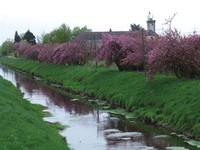  (Bildnachweis: B�rgermeisteramt Sinzheim)