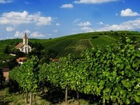 Auggen (Bildnachweis: Mit freundlicher Genehmigung der Touristikinformation Auggen / Winzerkeller Auggener Schäf) Auggen (Bildnachweis: Mit freundlicher Genehmigung der Touristikinformation Auggen / Winzerkeller Auggener Schäf)