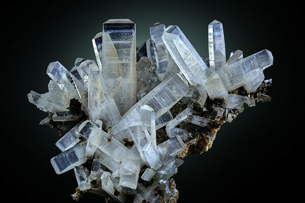 Copyright: (MiMa Museum Oberwolfach) Copyright: (MiMa Museum Oberwolfach)