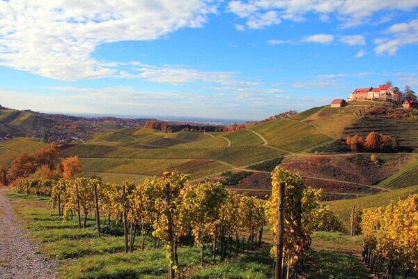 Copyright: (Mit freundlicher Genehmigung der Gemeinde Durbach) Copyright: (Mit freundlicher Genehmigung der Gemeinde Durbach)